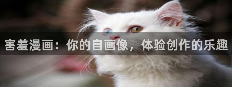 热血少年樱花动漫：害羞漫画：你的自画像，体验创作的乐趣